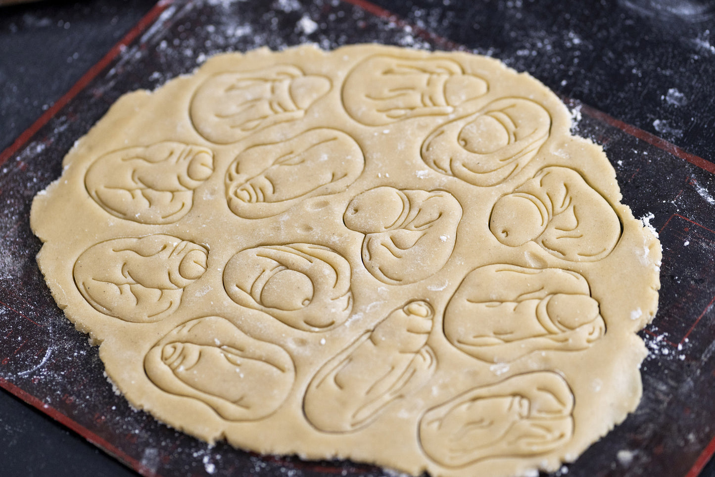 Penis Keksausstecher aus Deutschland - 8 Formen - Keksform - Plätzchen - Kekse Ausstecher - 3D Druck Cookie Cutter - Body Positivity